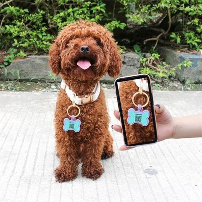ขายปลีก MOQ ต่ํา ราคาถูก รูปแบบที่แตกต่างกัน หลายสีสําหรับตัวเลือก ซิลิโคน แท็กสุนัขว่าง ชื่อ แท็กไอดี